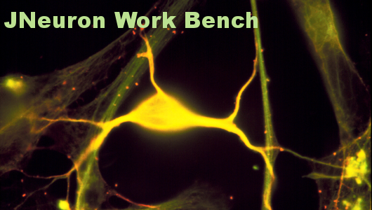 JNeuron Splash Screen